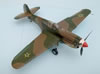 Revell 1/32 P-40E by Tadeu Pinto Mendes: Image