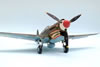 Revell 1/32 P-40E by Tadeu Pinto Mendes: Image