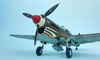 Revell 1/32 P-40E by Tadeu Pinto Mendes: Image