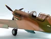 Revell 1/32 P-40E by Tadeu Pinto Mendes: Image