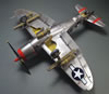 Tamiya 1/48 Republic P-47D Thunderbolt by Karen Coughlin: Image