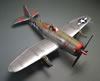 Tamiya 1/48 Republic P-47D Thunderbolt by Karen Coughlin: Image