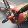 Tamiya 1/48 Republic P-47D Thunderbolt by Karen Coughlin: Image