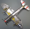 Tamiya 1/48 Republic P-47D Thunderbolt by Karen Coughlin: Image