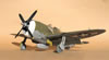 Trumpeter 1/32 P-47D-1 Thunderbolt by Tolga Ulgur: Image