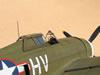 Trumpeter 1/32 P-47D-1 Thunderbolt by Tolga Ulgur: Image