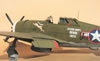 Trumpeter 1/32 P-47D-1 Thunderbolt by Tolga Ulgur: Image