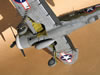 Trumpeter 1/32 P-47D-1 Thunderbolt by Tolga Ulgur: Image