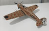 Special Hobby 1/48 Ba 65a by Edoardo Rosso: Image