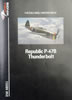 Dora Wings Kit No. DW48051  Republic P-47B Thunderbolt Review by Brett Green: Image