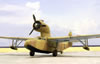 Azur 1/72 Fairchild F.91 Baby Clipper by Roland Sachsenhofer: Image