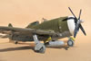 Trumpeter 1/32 P-47D-5 by Tolga Ulgur: Image