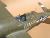 Trumpeter 1/32 P-47D-5 by Tolga Ulgur: Image