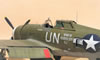 Trumpeter 1/32 P-47D-5 by Tolga Ulgur: Image