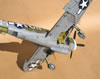 Trumpeter 1/32 P-47D-5 by Tolga Ulgur: Image