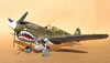 Hasegawa 1/32 P-40N by Tolga Ulgur: Image