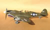 Hasegawa 1/32 P-40N by Tolga Ulgur: Image