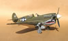 Hasegawa 1/32 P-40N by Tolga Ulgur: Image