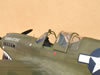 Hasegawa 1/32 P-40N by Tolga Ulgur: Image