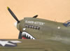 Hasegawa 1/32 P-40N by Tolga Ulgur: Image