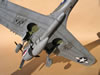 Hasegawa 1/32 P-40N by Tolga Ulgur: Image