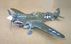 Hasegawa 1/32 P-40N by Tolga Ulgur: Image