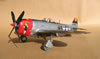 Hasegawa 1/32 P-47D by Tolga Ulgur: Image