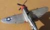 Hasegawa 1/32 P-47D by Tolga Ulgur: Image