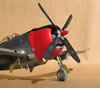 Hasegawa 1/32 P-47D by Tolga Ulgur: Image