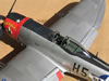 Hasegawa 1/32 P-47D by Tolga Ulgur: Image