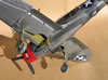 Hasegawa 1/32 P-47D by Tolga Ulgur: Image