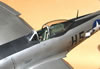 Hasegawa 1/32 P-47D by Tolga Ulgur: Image