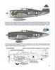 P-47 Thunderbolt in Detail and Scale Book Review by Floyd S. Werner Jr.: Image